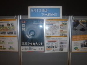 展示の様子