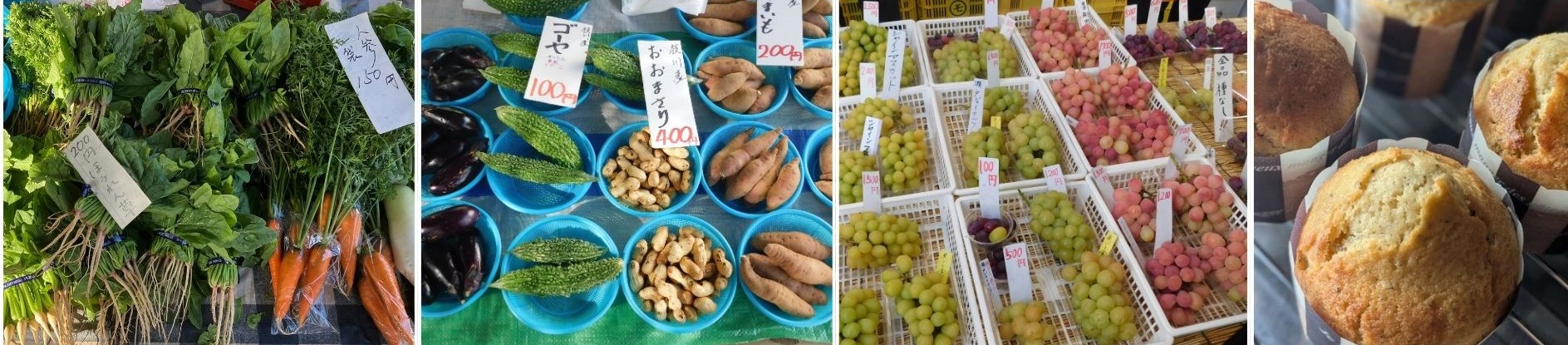 食材写真