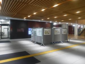 展示内容(3)