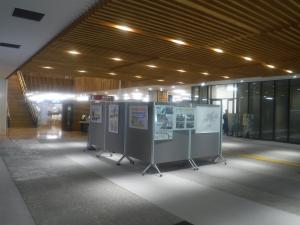 展示内容(4)